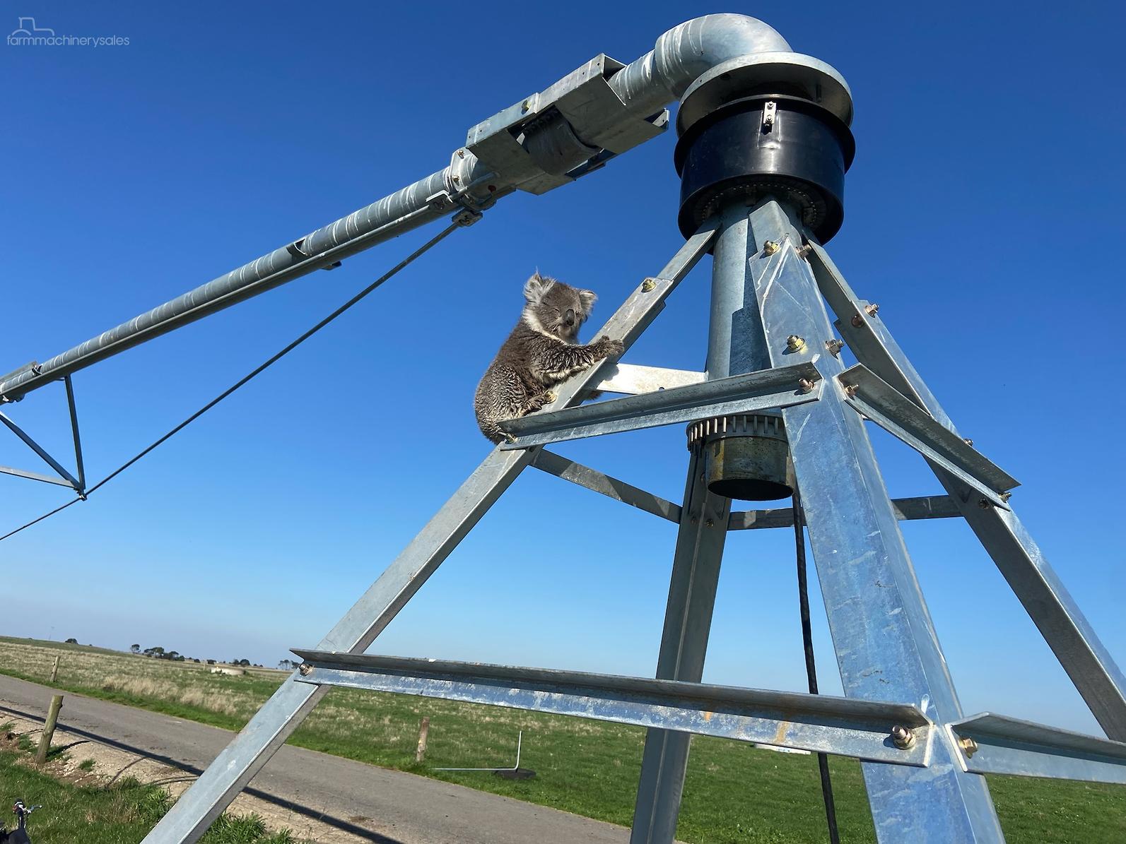 Center Pivots Irrigation 